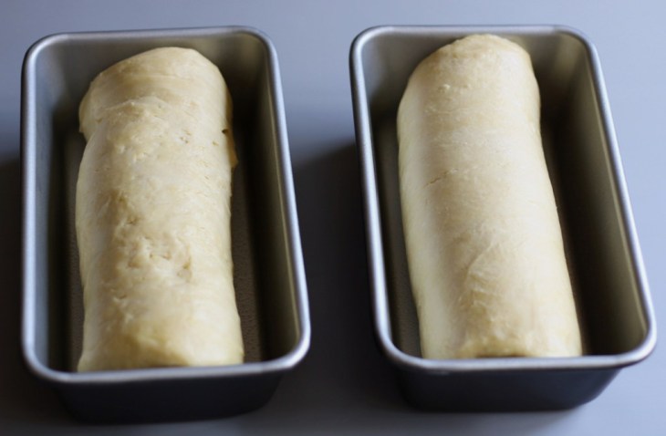 Bread Flour Loaves