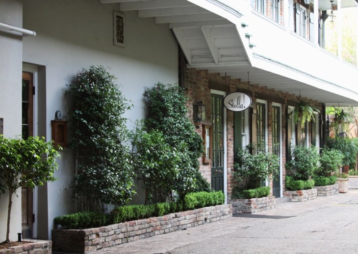 Stella