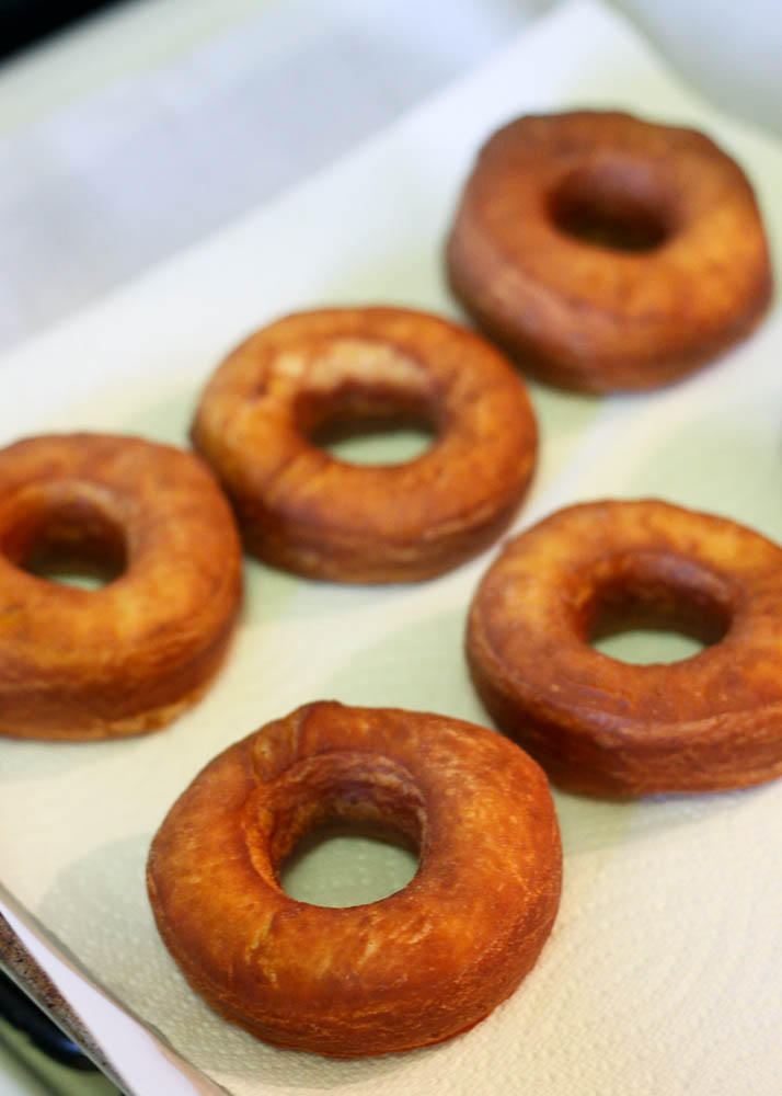 Golden Brown Doughnuts Ready to be Glazed