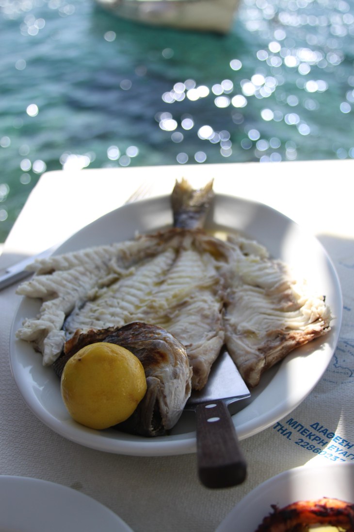 Sea bream at Katina